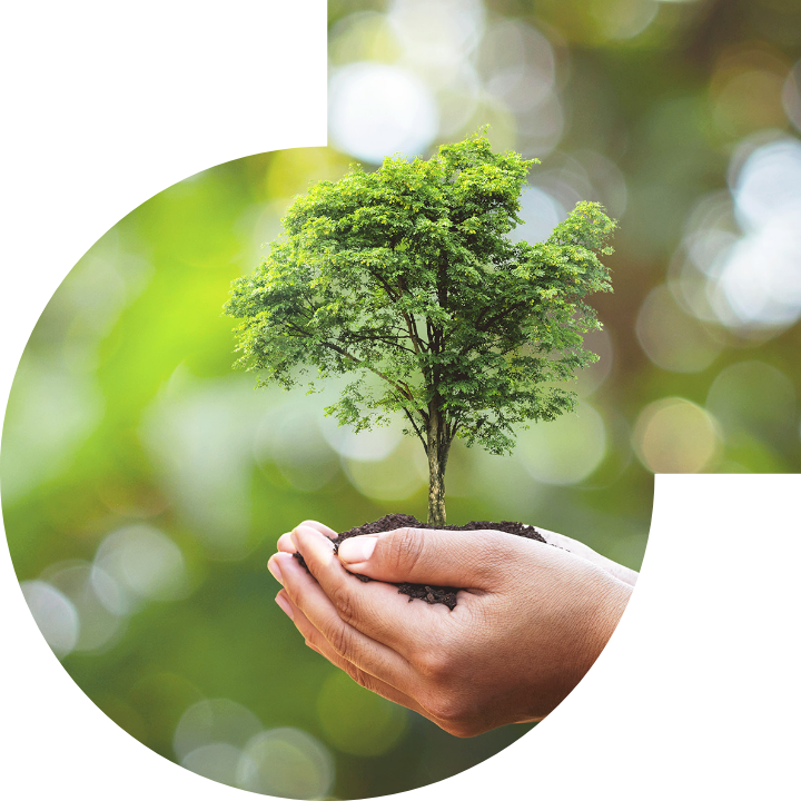 關懷人類、文化、環境與社會